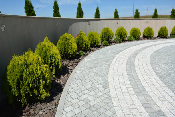 Best Best Driveway Pavers  in Poplarville, MS