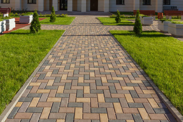 Best Driveway Paving Contractor  in Poplarville, MS